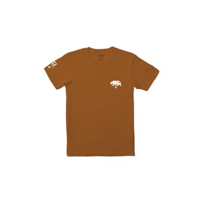 Stance National Park Yosemite SS M - Brun - Kortermet T-skjorte Stance National Park Yosemite SS M - Brun - Kortermet T-skjorte